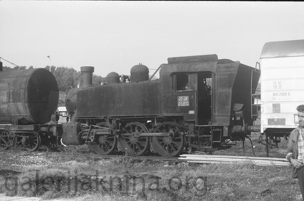 95606482 102809871425239 2995961816078614528 n