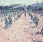 105389822 139304877775738 5498841487307780931 n