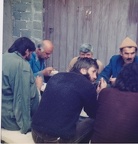 101837137 133671071672452 7513582003248021404 n