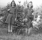 95389060 102934631412763 4715747767429890048 n