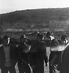 96550519 109393997433493 3698584380843753472 n