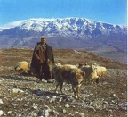 96213930 109410644098495 5522114511315664896 n