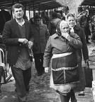 94883238 105815527791340 3994109801897394176 n