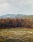 thumbnail IMG 1720